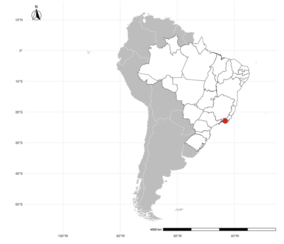 Assessing dengue forecasting methods: A comparative study of statistical models and machine learning techniques in Rio de Janeiro, Brazil
